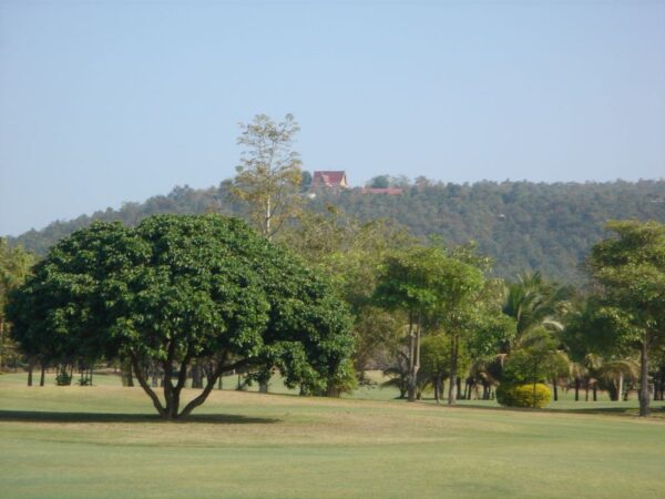 Royal Chiang Mai golfbane grønt græslandskab