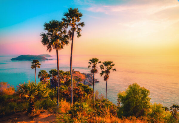 Solnedgangsudsigt med palmer på en bakke, med udsigt over havet i Phuket, Thailand