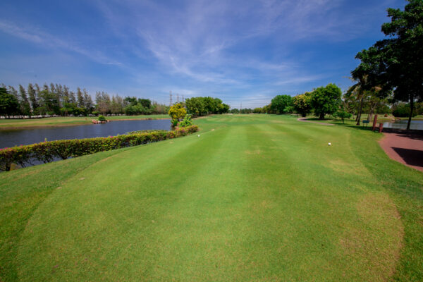 Golf på Windsor Park Golf Club, baggrund med sø
