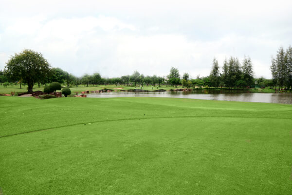 Billed af grøn golfbane med sø hos Windsor Park