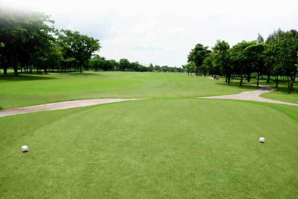 Bangkok golfbane, Windsor Park, med frodigt grønt græs, to golfbolde og strategisk layout.