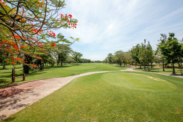 Windsor Park Golf Club Bangkok - En fredfyldt golfbane i hjertet af Bangkok med rigeligt grønt, rummelige fairways og mange store træer.