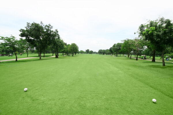 Windsor Park Golf Club Bangkok frodige grønne græstræer