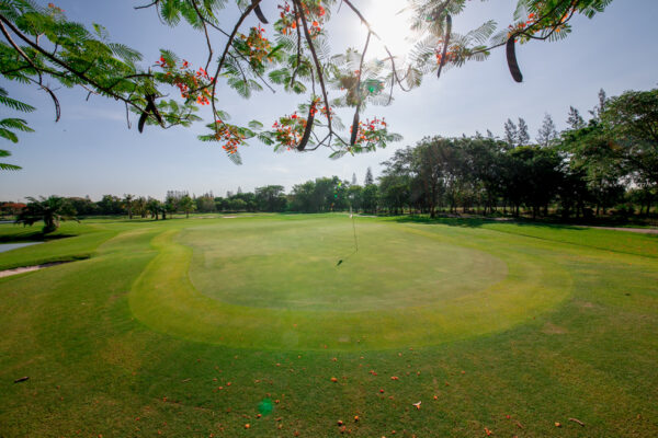 Golf Club i Bangkok med frodige træer og charmerende dam, Windsor Park. Perfekt til afslappende golfspil og naturskønne gåture.