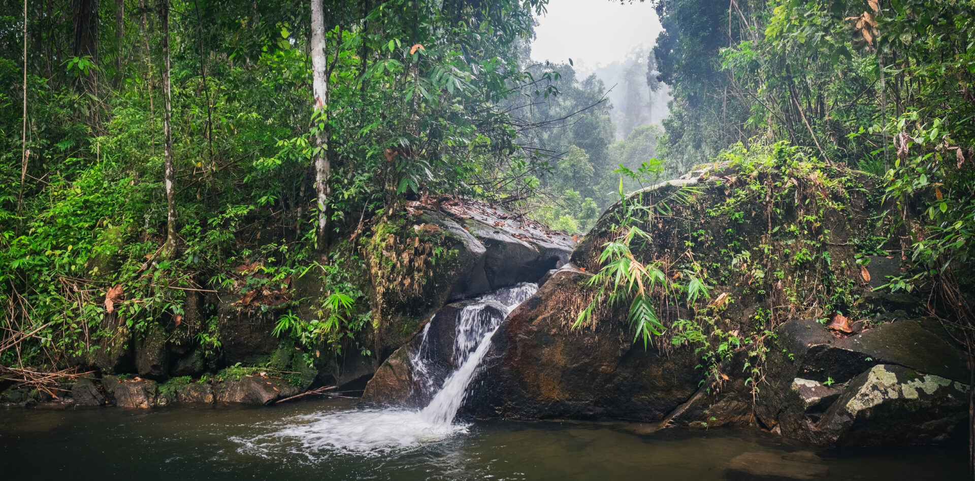 Vandfald i tropisk regnskov med levende grønt løv, autentisk ø-livet miljø.