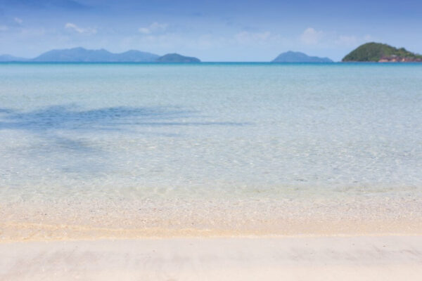 Mira strand med Koh Mak palme træ i vandet