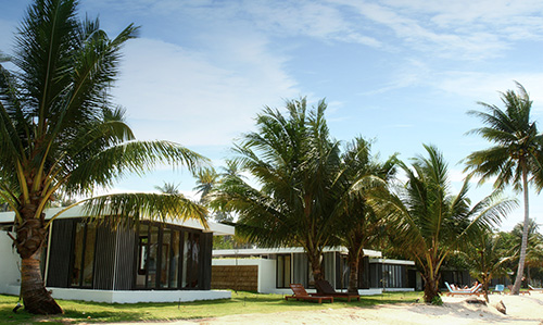 Tropisk strand med palmer på Koh Mak Beach Resort i Thailand