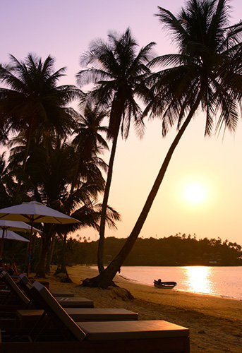 Resort på Koh Mak med palmetræer langs stranden