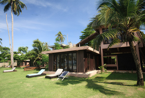 Palmetræ på Koh Mak Beach Resort