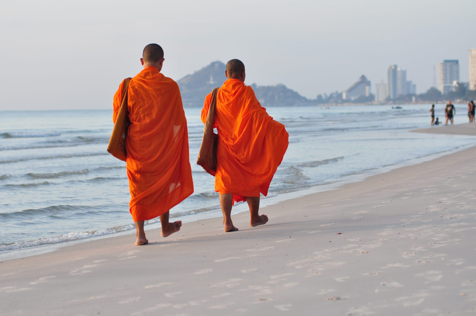 Munke på den lange strand ved Hua Hin