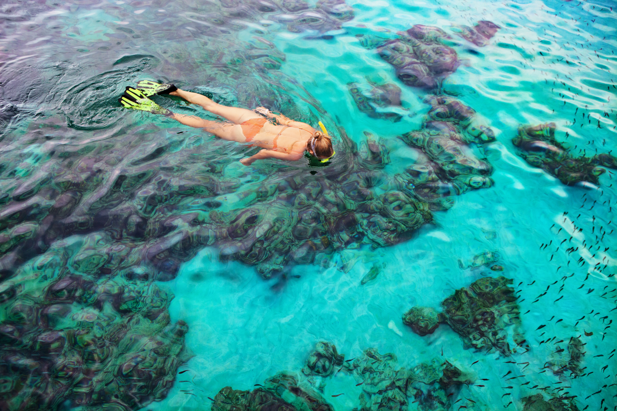 Snorkling på koralrev i Thailand