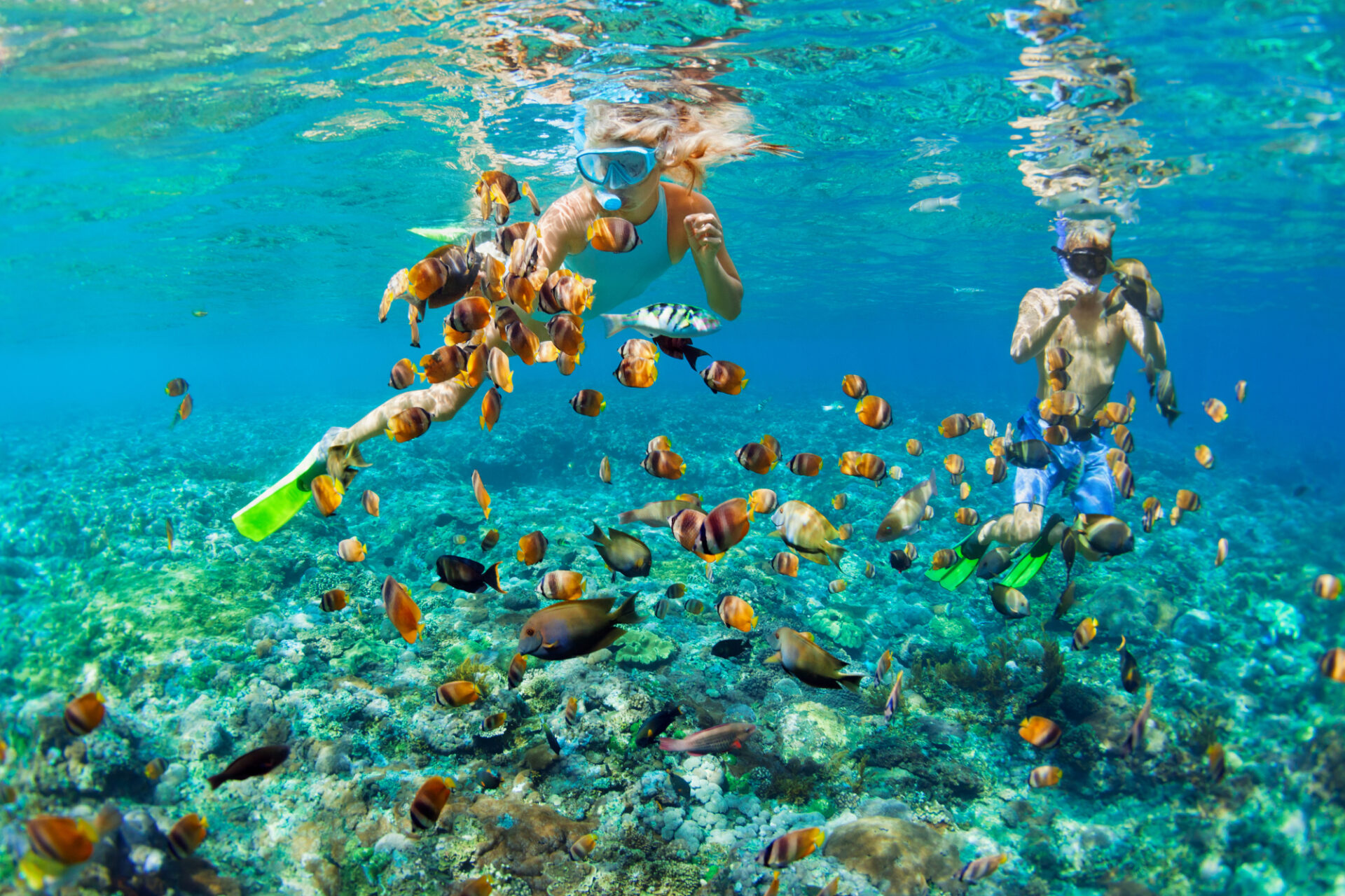 Snorkling blandt farvrige fisk i Thailand