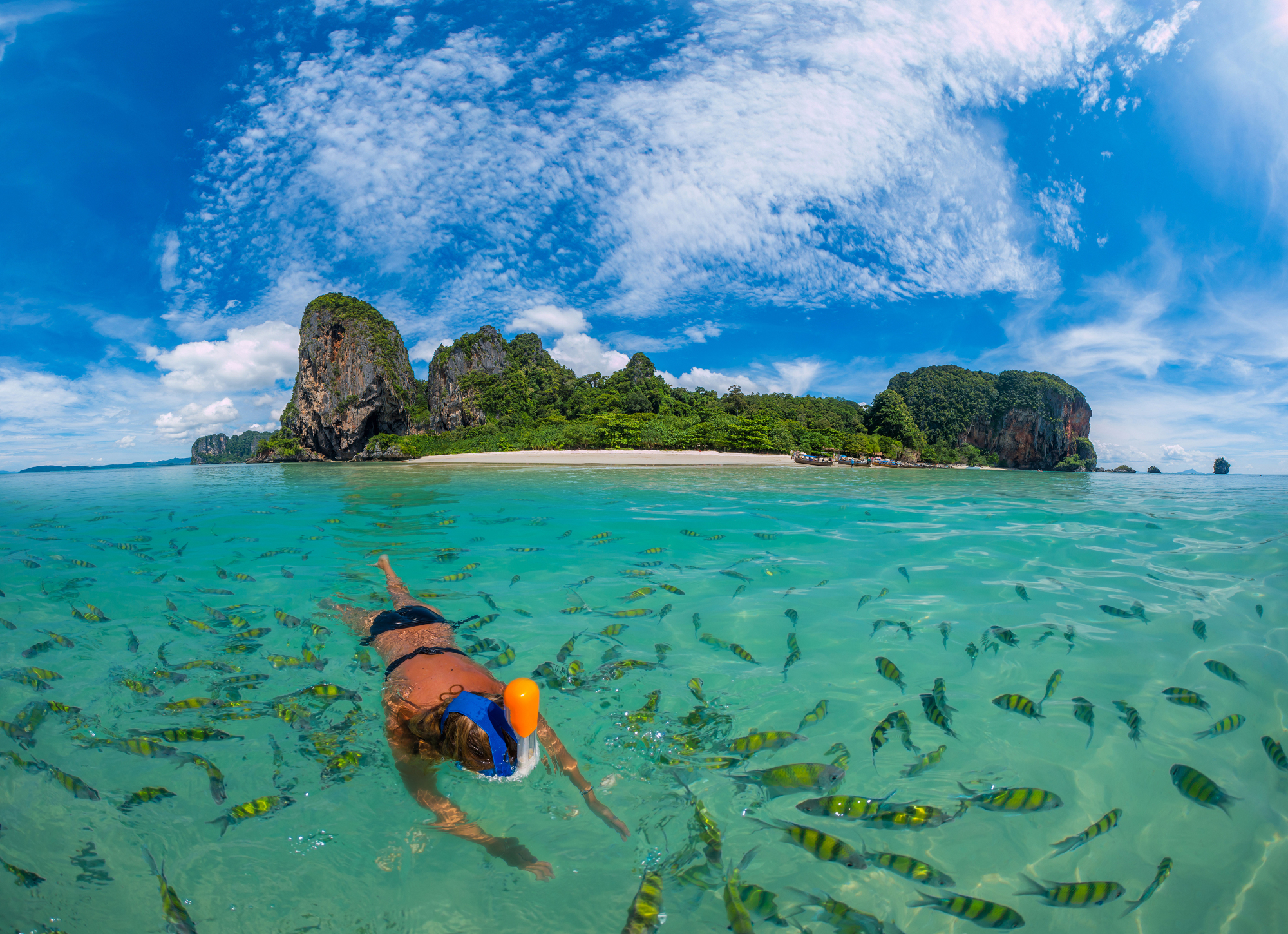 Snorkling ved Poda Beach, Krabi
